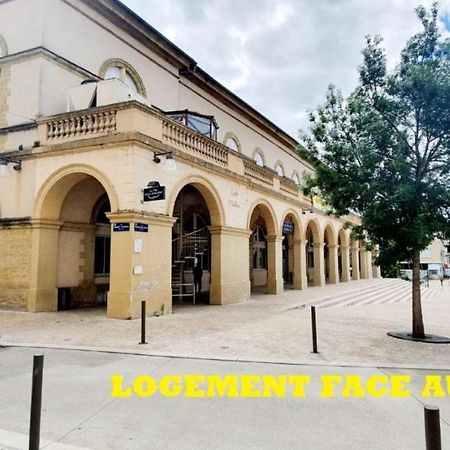 Le Wlerick 4 - Hyper Centre - Au Calme - Wifi Apartment Mont-de-Marsan Exterior photo